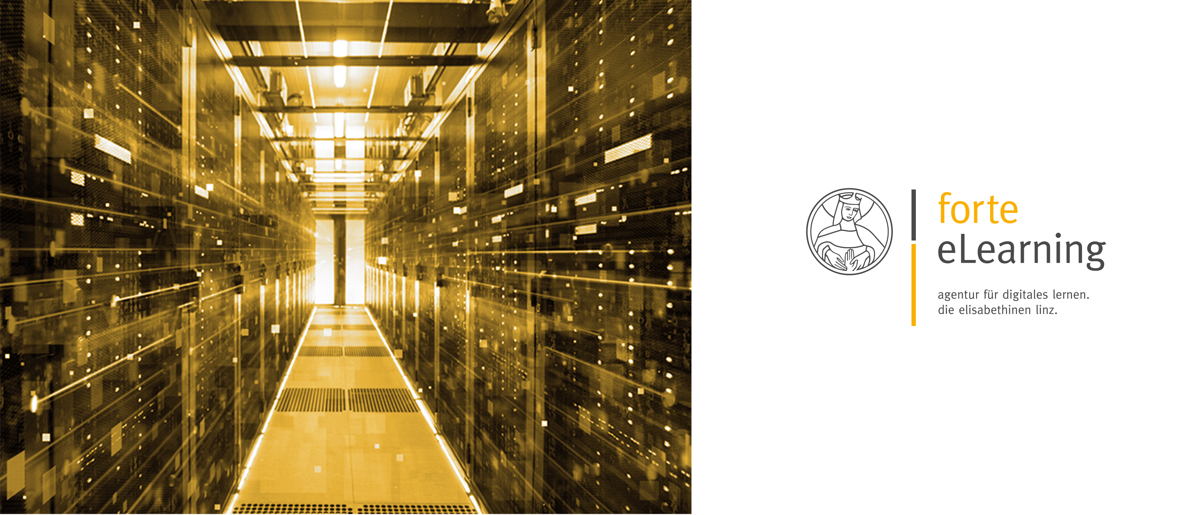 Course Image EGM | Informationssicherheit kompakt